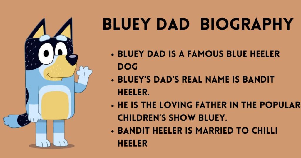 Bluey Dad