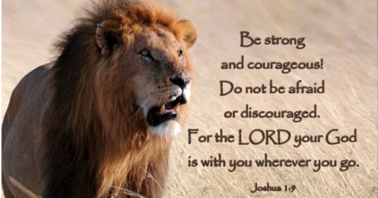 Best Bible Verses for Athletes Inspire Success Best Bible Verses for Athletes Inspire Success