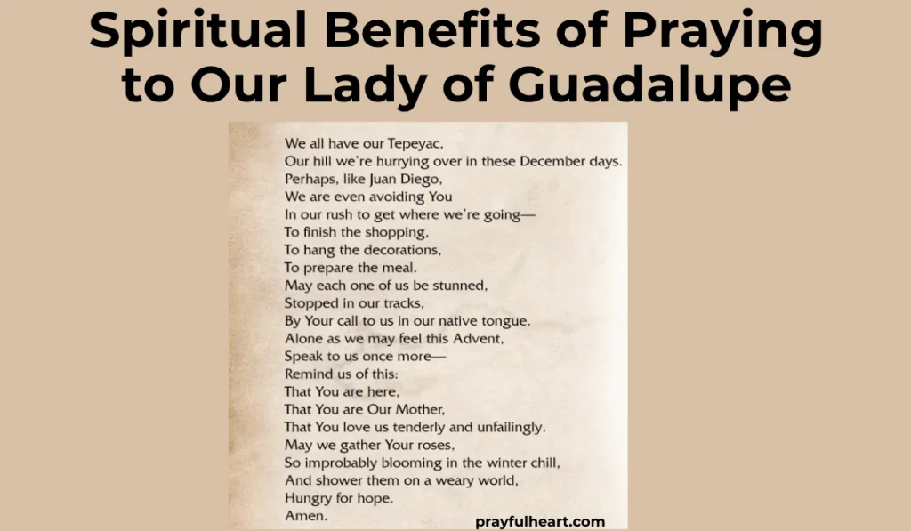 Our Lady of Guadalupe Prayer