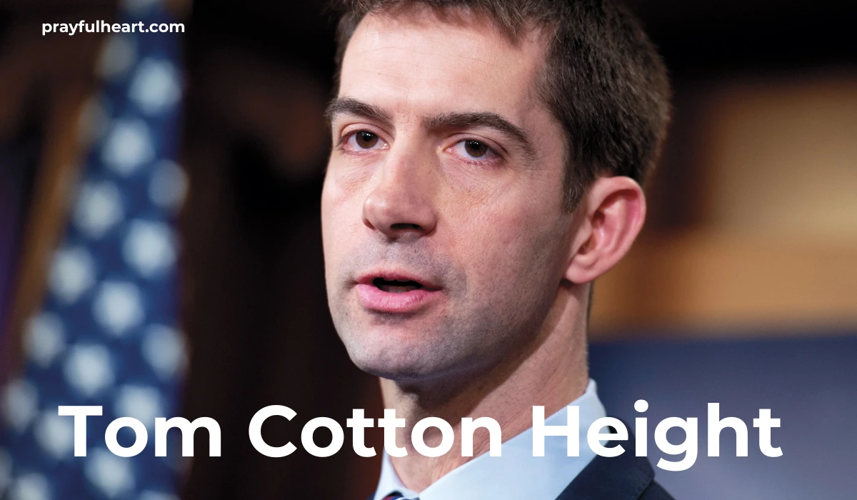 Tom Cotton Height