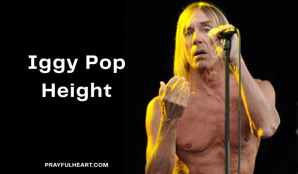 Iggy Pop Height