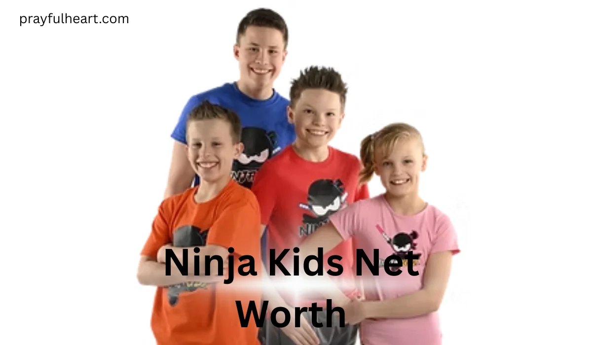 Ninja Kids Net Worth